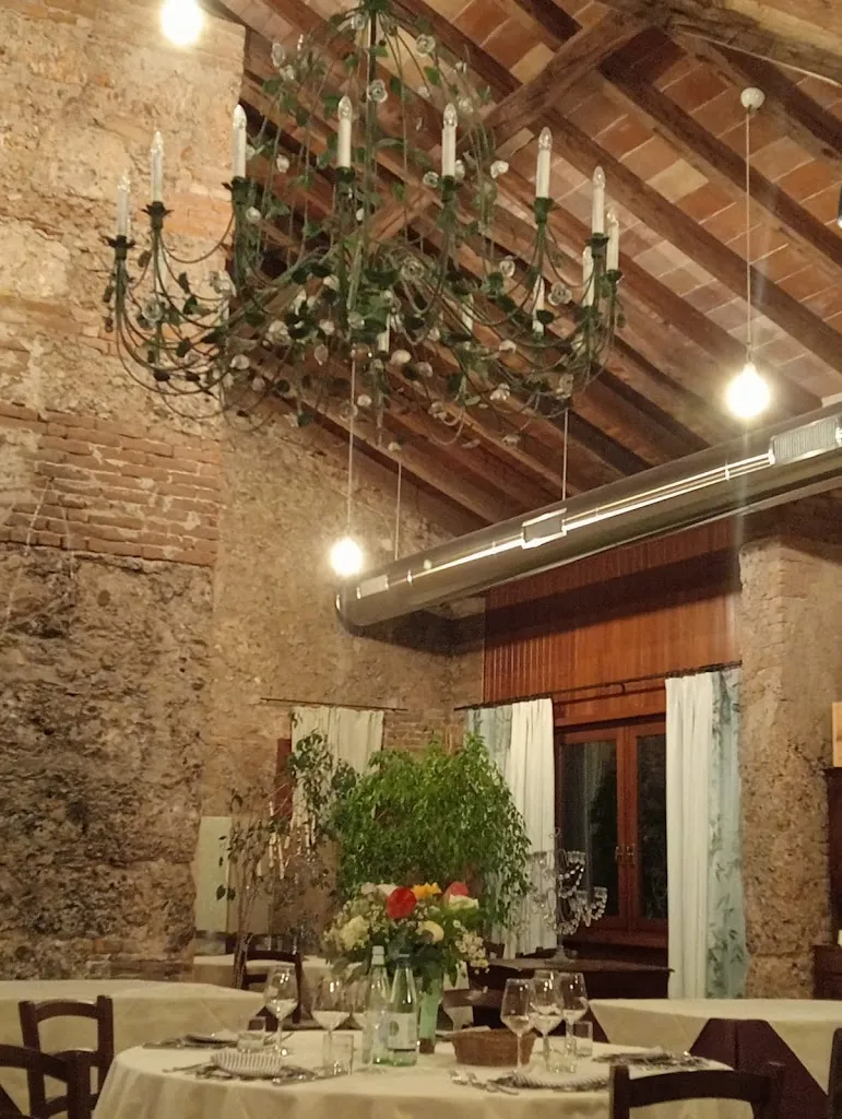 Michele Tomasi_Bosco del Falco_Giavera del Montello_review