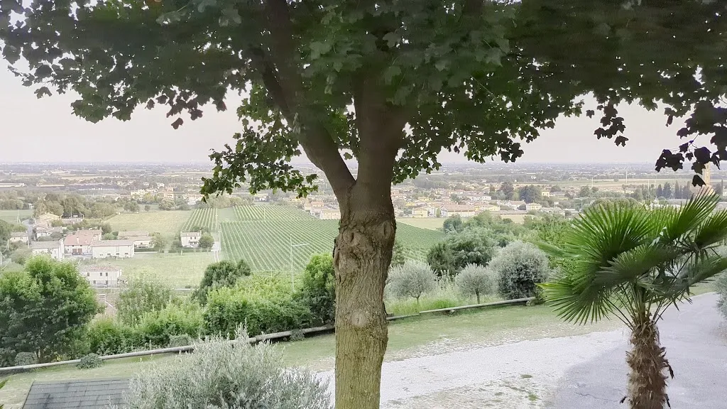 Ristorante Pizzeria Al Castear_Giavera del Montello_slider_image_2