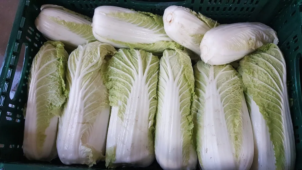 Menu_Il Profumo Della Freschezza_Granze_image_9