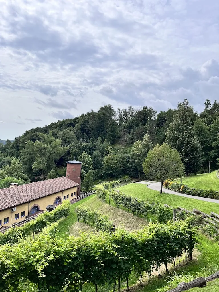 lilly_Podere La Torre_Giavenale_review