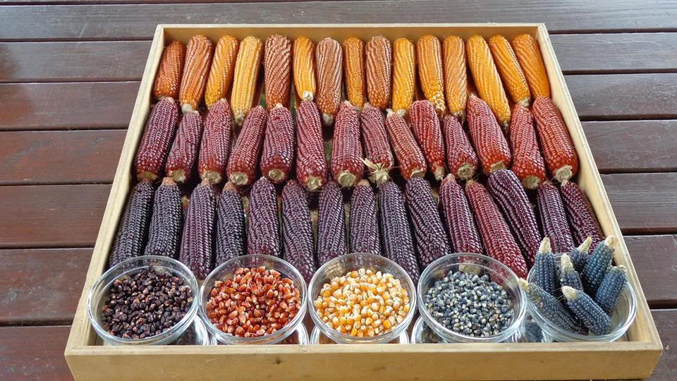 Menu_Cà dell'Agata_Grumolo Pedemonte_image_7