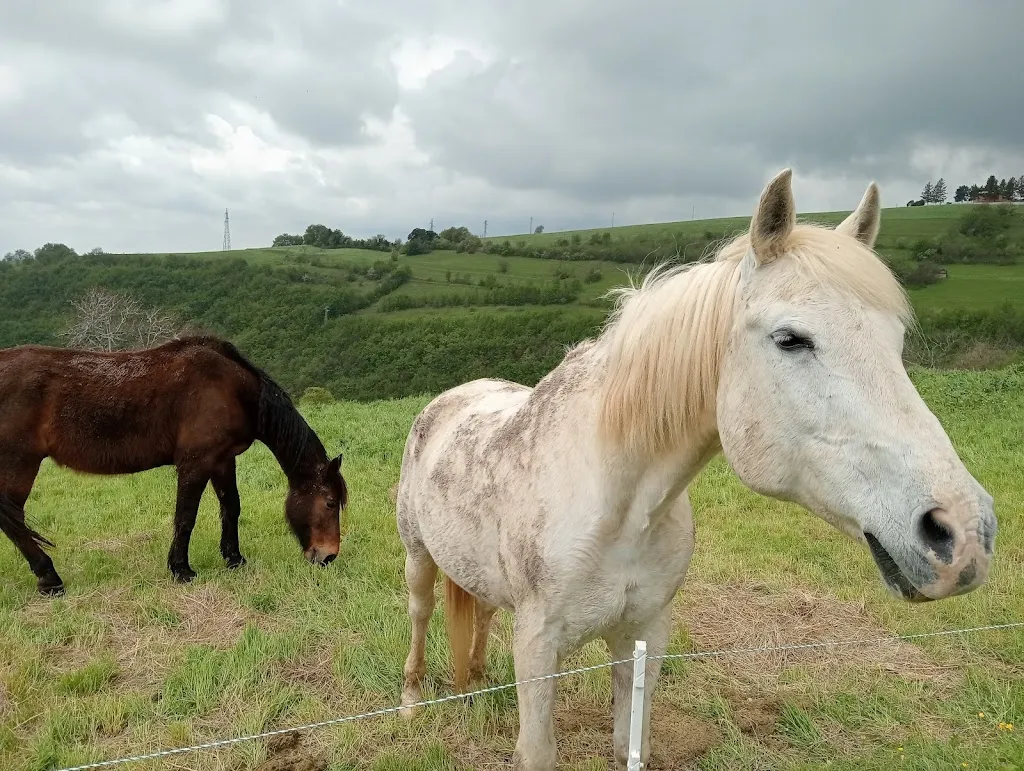 KARIM EL BELA_Ca' del Moro Wine Retreat_Grezzana_review