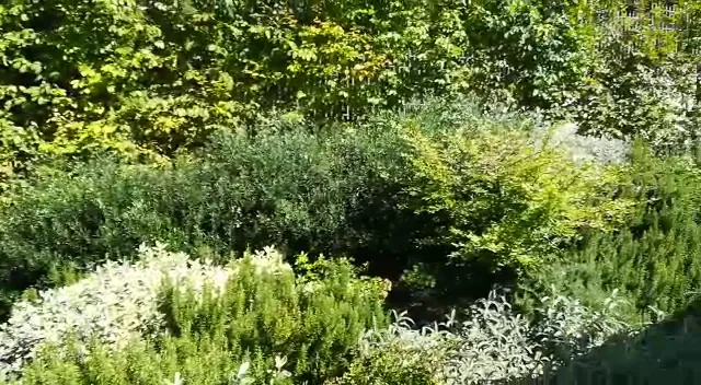 Ca' del Moro Wine Retreat_Grezzana_slider_image_2