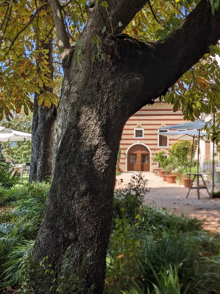 Alexander Mannsbart_Gazega Osteria_Grezzana_review