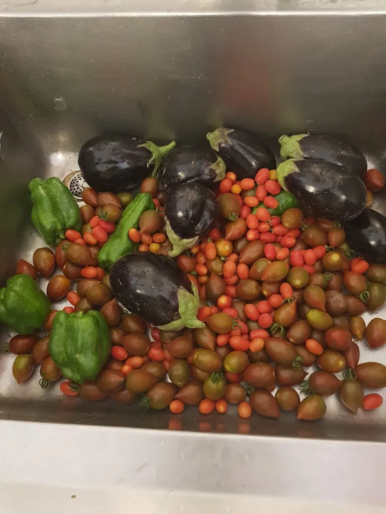 Menu_PizzaLab_La Salute di Livenza_image_2