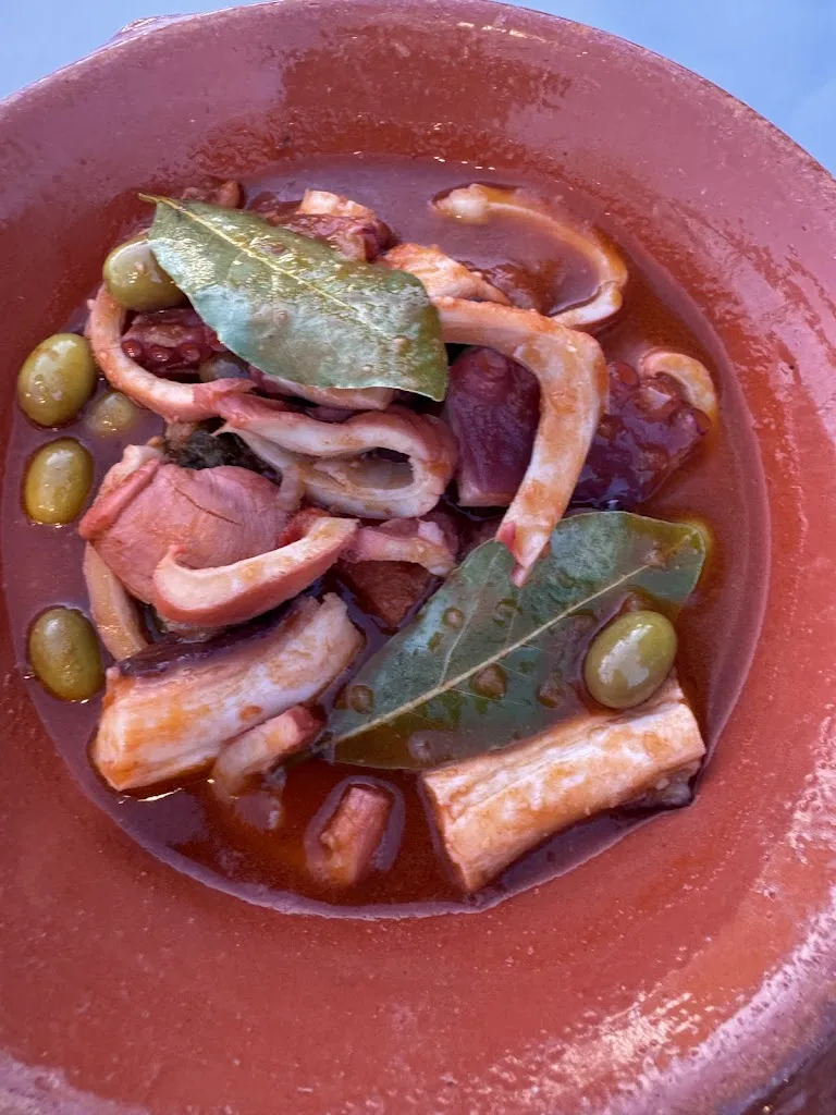 Adam Rogalski_Costamarina_Peschici_review