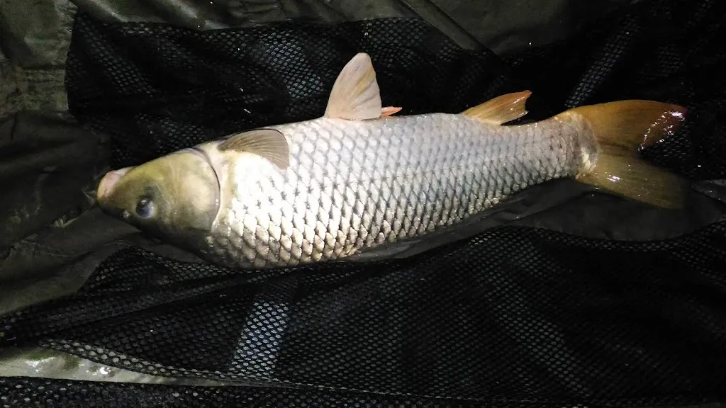 Menu_Agriturismo Oasi le Palme_Isola della Scala_image_6