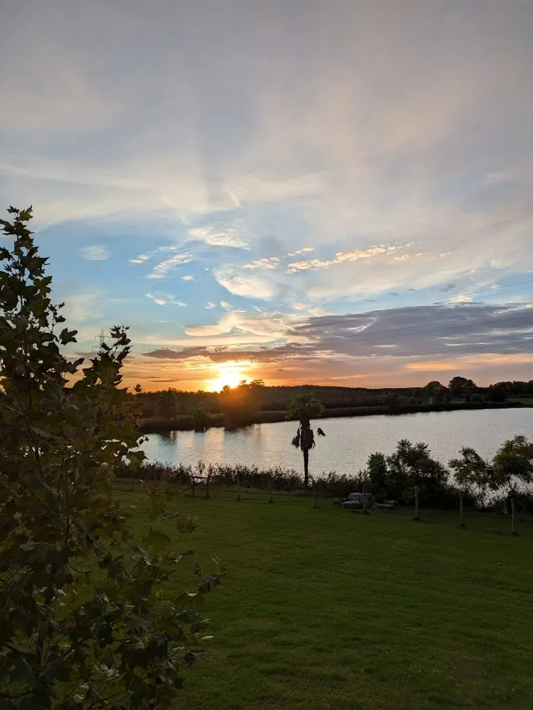 Luca Filipazzi_Agriturismo Oasi le Palme_Isola della Scala_review