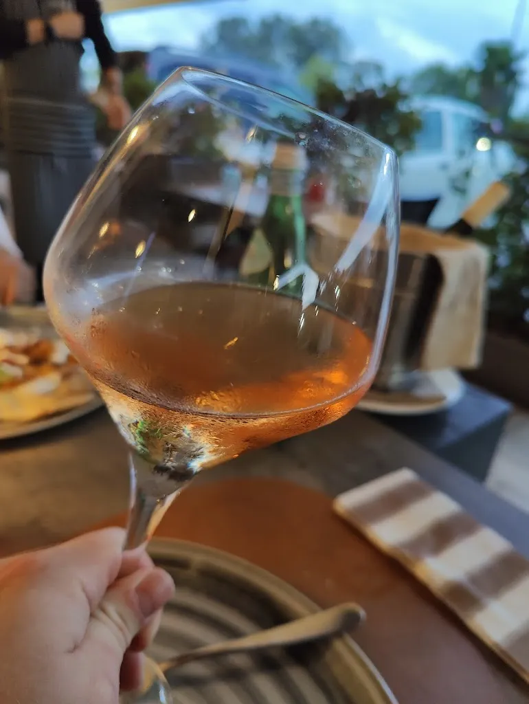 Daniel Schaupp_Tre Leoni_Iesolo_review