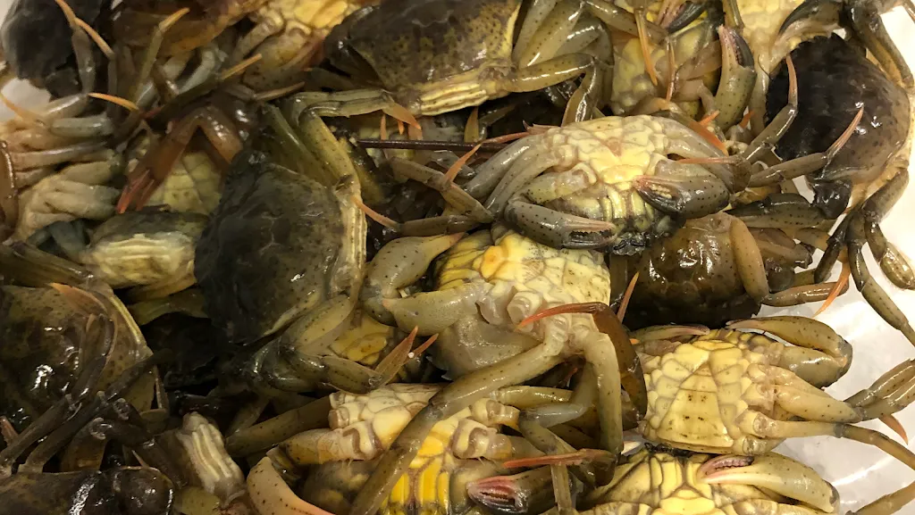 Ristorante Tortuga_Iesolo_slider_image_3