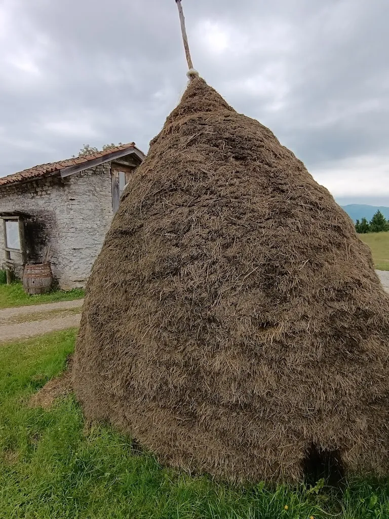 Lucia S Schiavon_Ristorante Da Baiocco_Lentiai_review