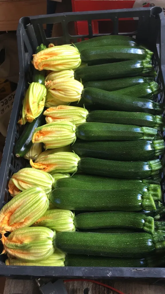 Menu_AGRITURISMO Az.Agr. SAETTA' di Marco Casagrande_Lentiai_image_9