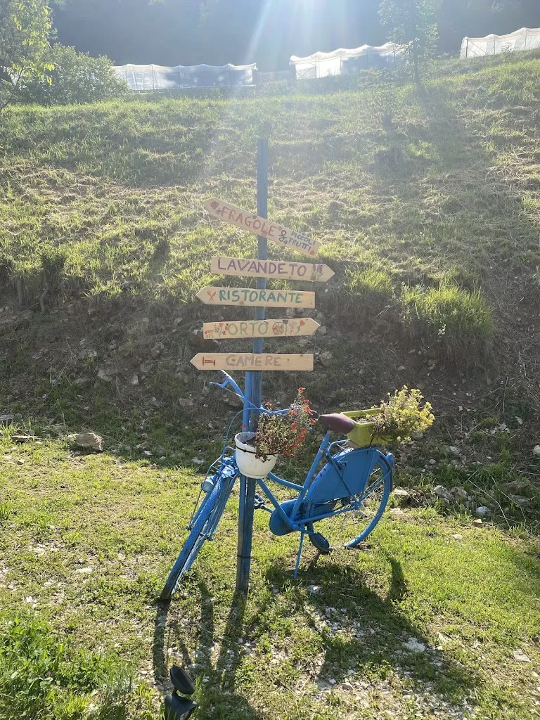 Dorsa Basiri_AGRITURISMO Az.Agr. SAETTA' di Marco Casagrande_Lentiai_review