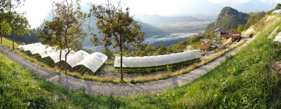 AGRITURISMO Az.Agr. SAETTA' di Marco Casagrande_Lentiai_slider_image_3