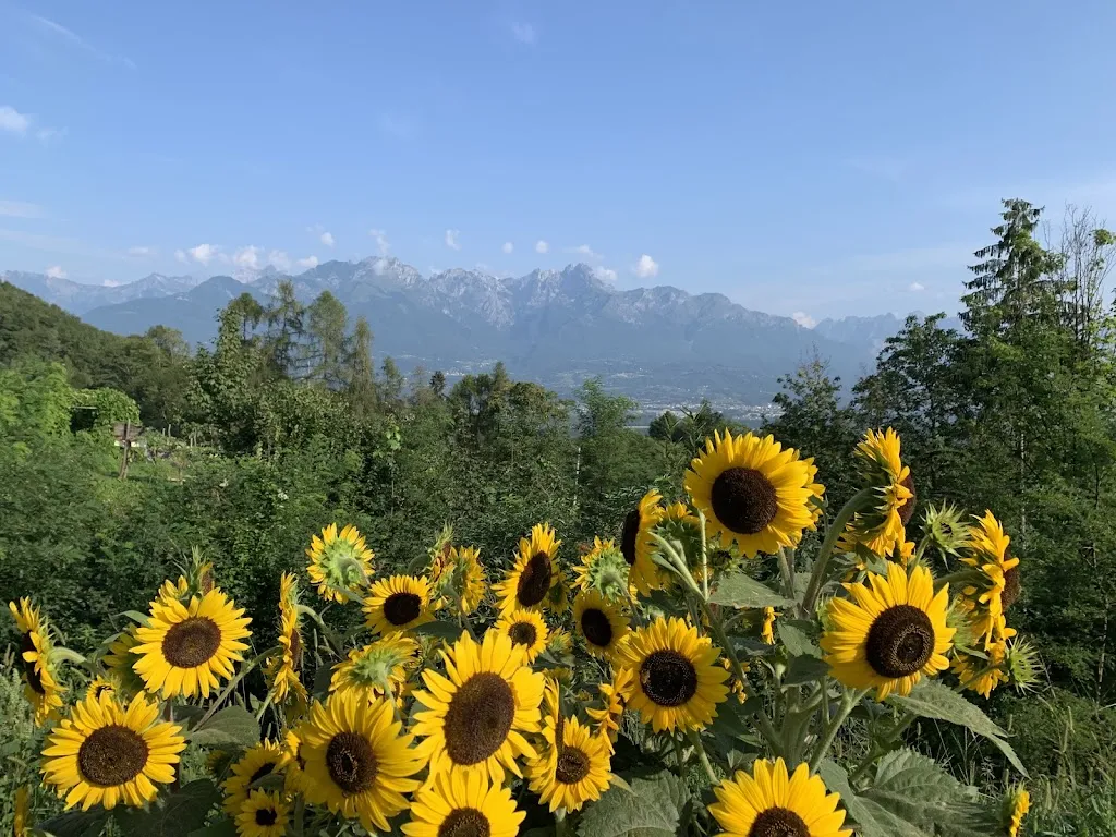 A M_agriturismo la casa nei boschi_Lentiai_review