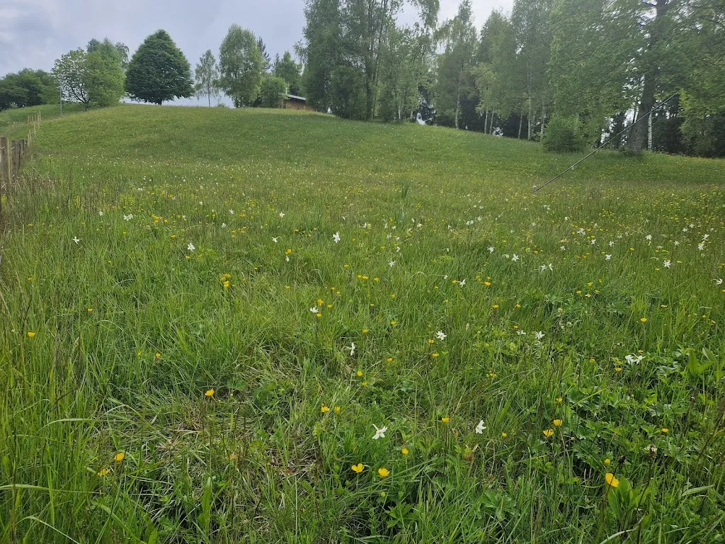 Claudio Tubia_Malga Garda_Lentiai_review