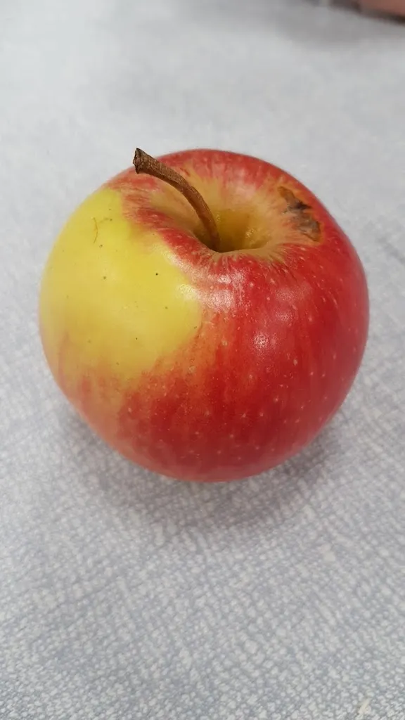 Menu_La Vela_Longarone_immagine_2