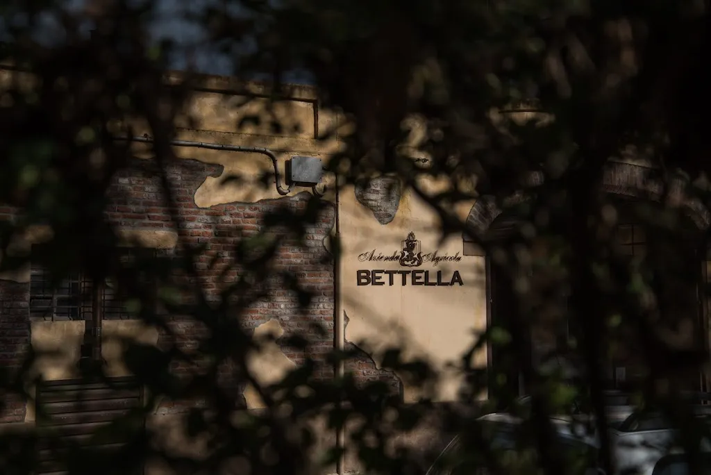 Sapori di Casa Legnago_Legnago_slider_image_3