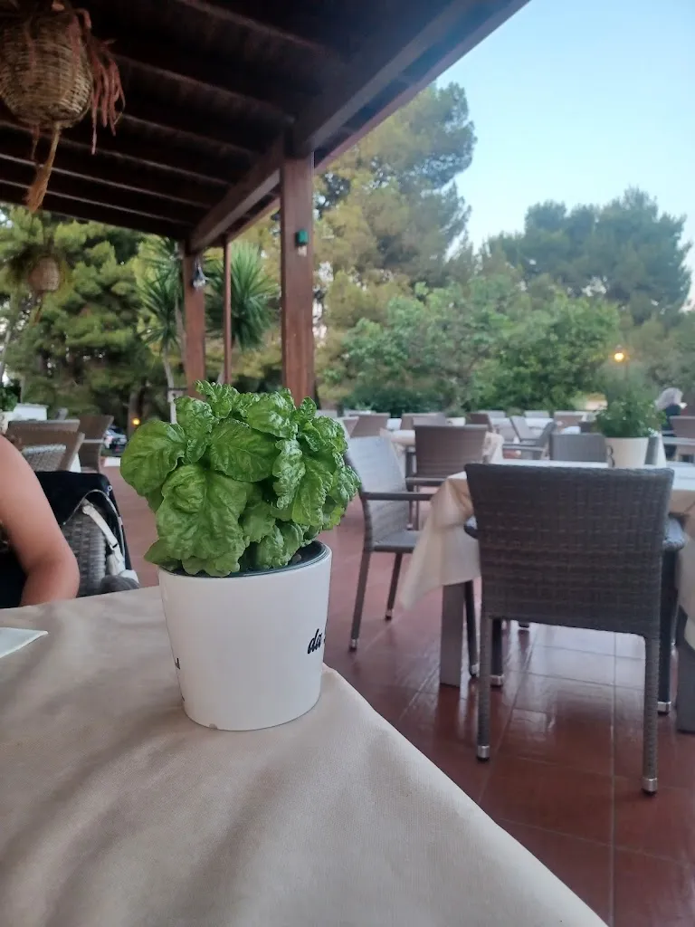 Simone Casini_Da Maria_Peschici_recensione