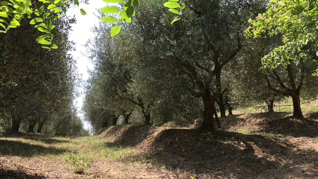 Agriturismo Le Pergolette_Lozzo Atestino_slider_image_2