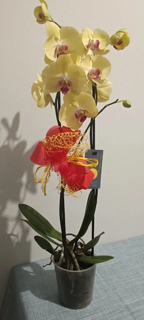 Ilaria Fornasiero_Agriturismo De Bortoli 🍽️ 🍖_Lozzo Atestino_review