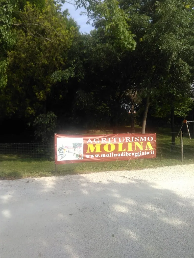 Silver_Agriturismo Molina_Lozzo Atestino_recensione