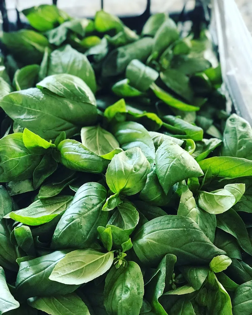 Menu_Pizzeria Il Canton Del Gusto - Lugagnano di Sona_Lugagnano_immagine_6