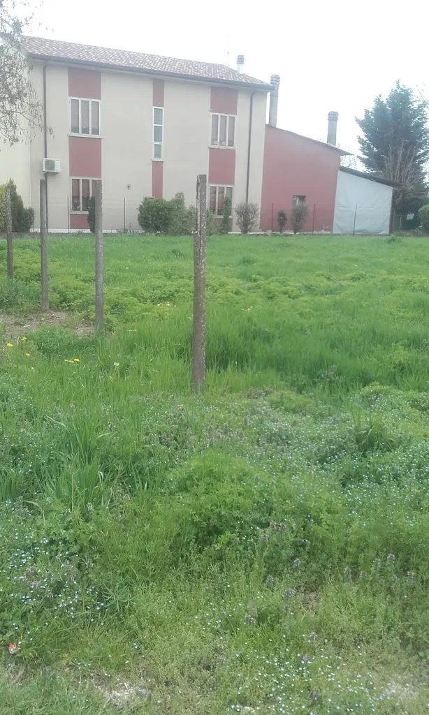 Bar Trattoria Pizzeria Tre Stelle restaurant in Maccacari