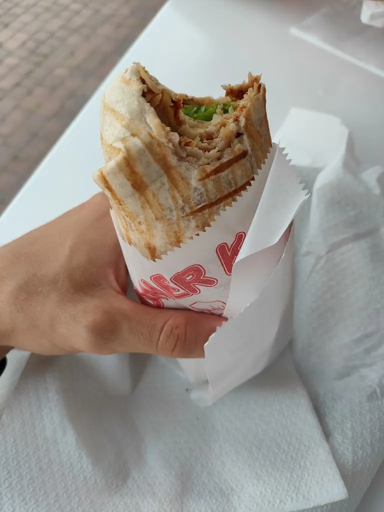 Mirco Tinazzi_New Taj Mahal di Akhtar Masood - Kebab_Mansuè_review