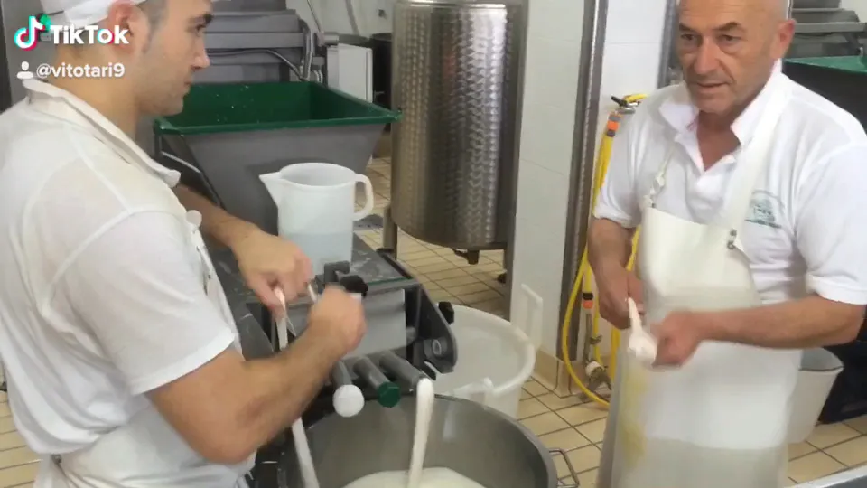 Pizzeria Orchidea Maerne - Asporto e Consegna a Domicilio_Maerne_slider_image_2