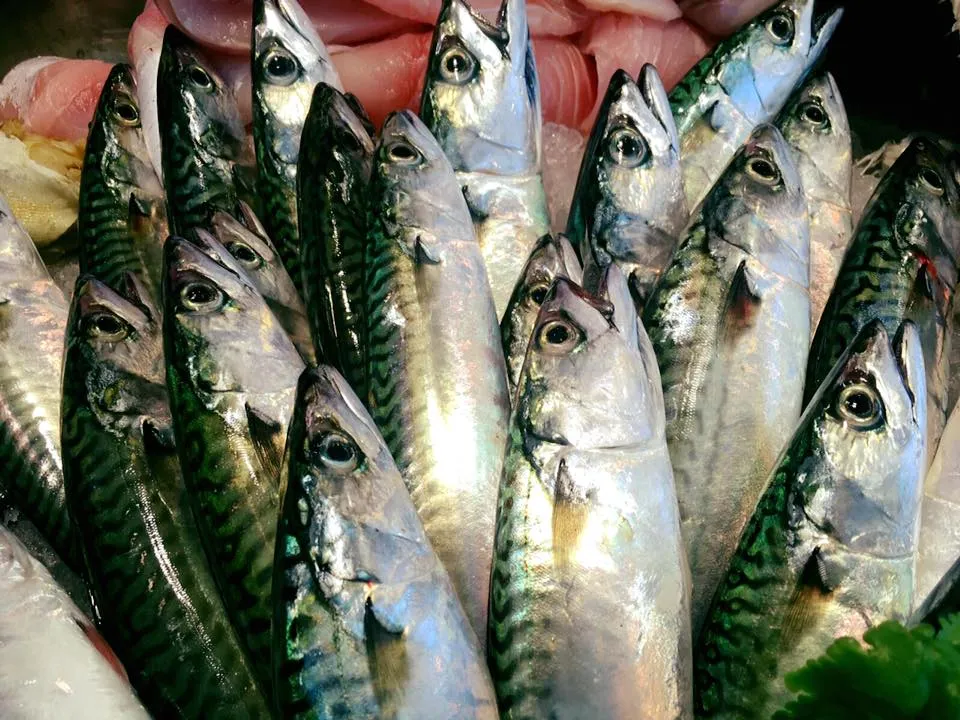 Gustamare_Mareno di Piave_slider_image_2