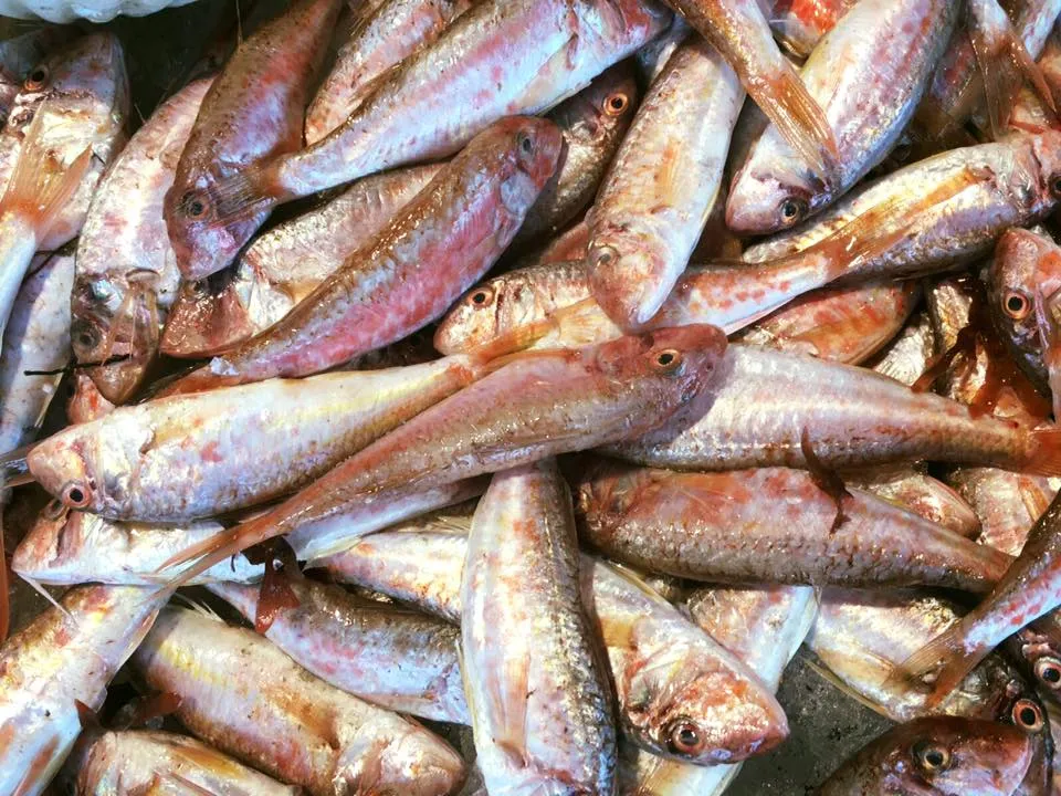 Gustamare_Mareno di Piave_slider_image_3