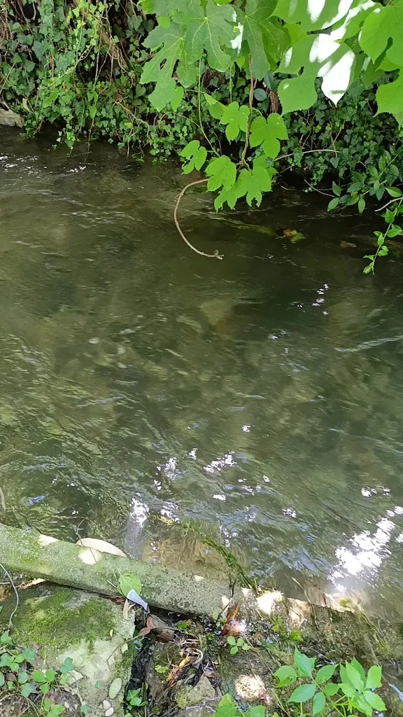 edoardo rapone_Osteria al Cortivo_Mareno di Piave_recensione