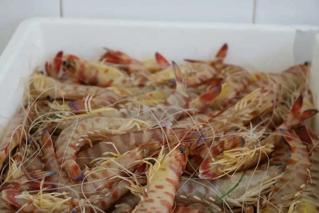 Ristorante Alba dei Pini Peschici_Peschici_slider_image_2