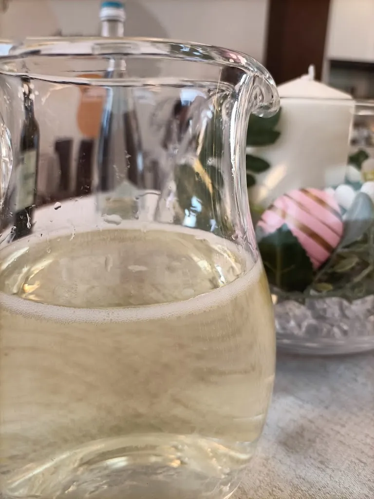 Lisa_Ristorante Romeo_Mejaniga_review