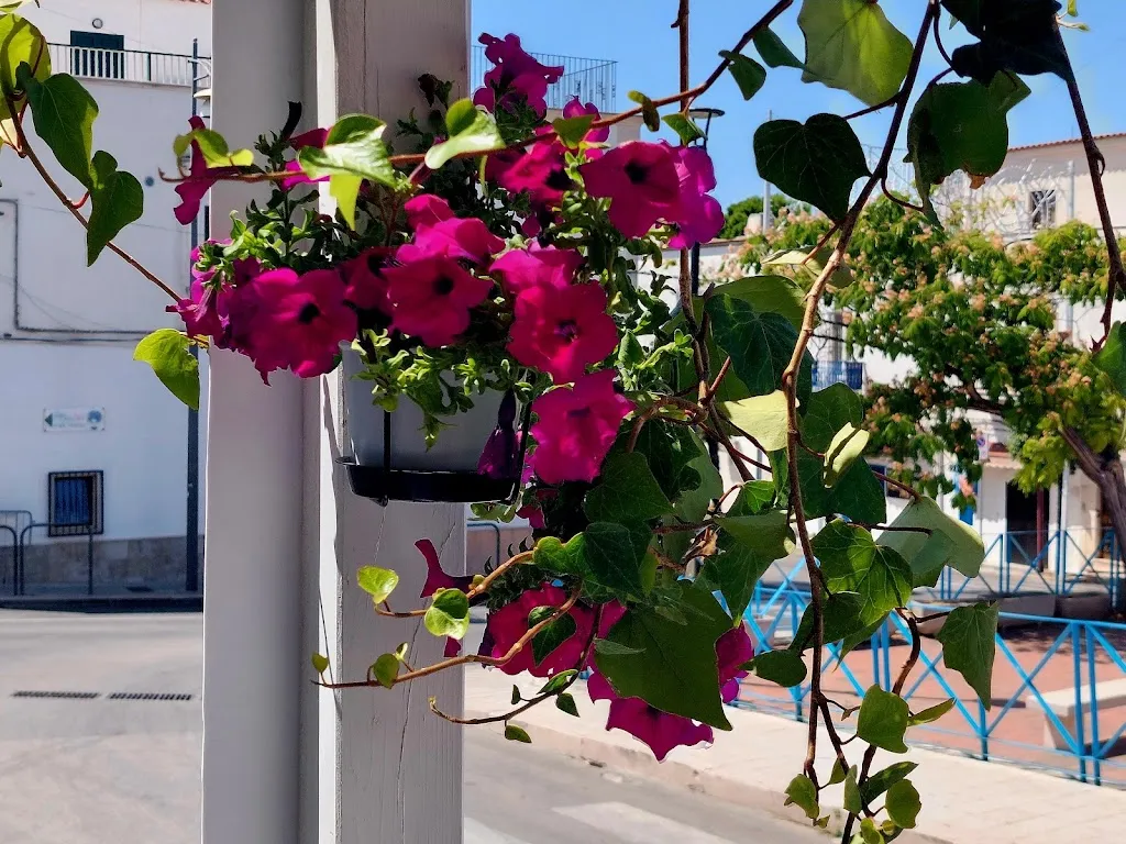 Luis Miguel Barrero_Bar Ale _Peschici_Bewertung