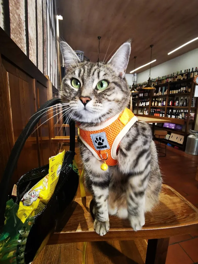 Gigia TravelCat_La Pergola di Renzo_Marostica_review