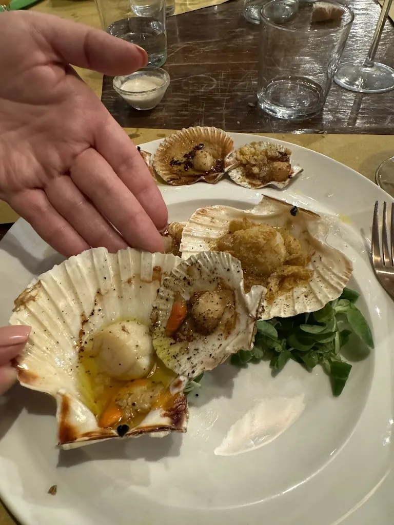 Kurt T._Brocante_Meolo_recensione