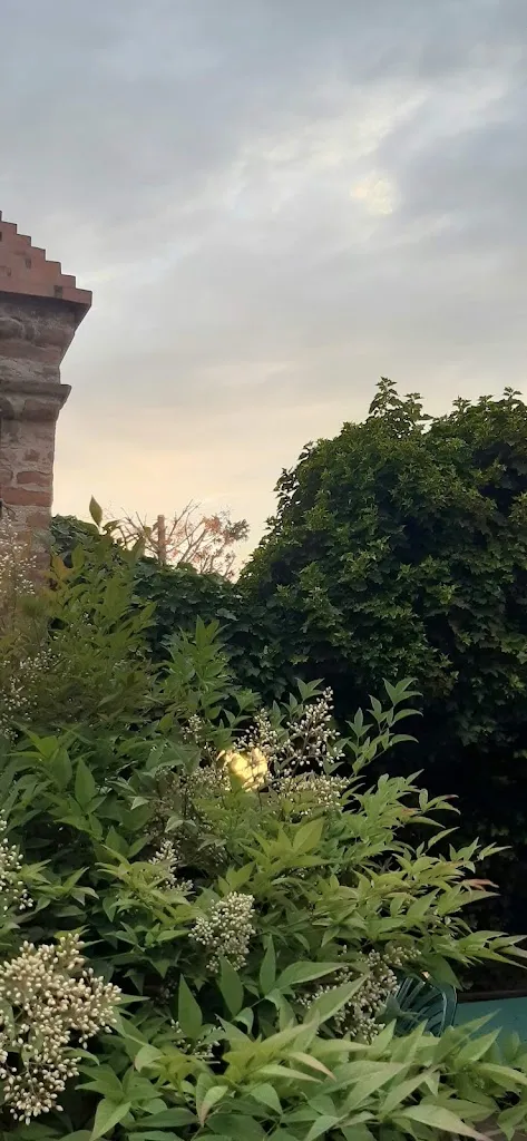 VINCENZO NAPOLITANO_Pizzeria Al Portone_Minerbe_recensione