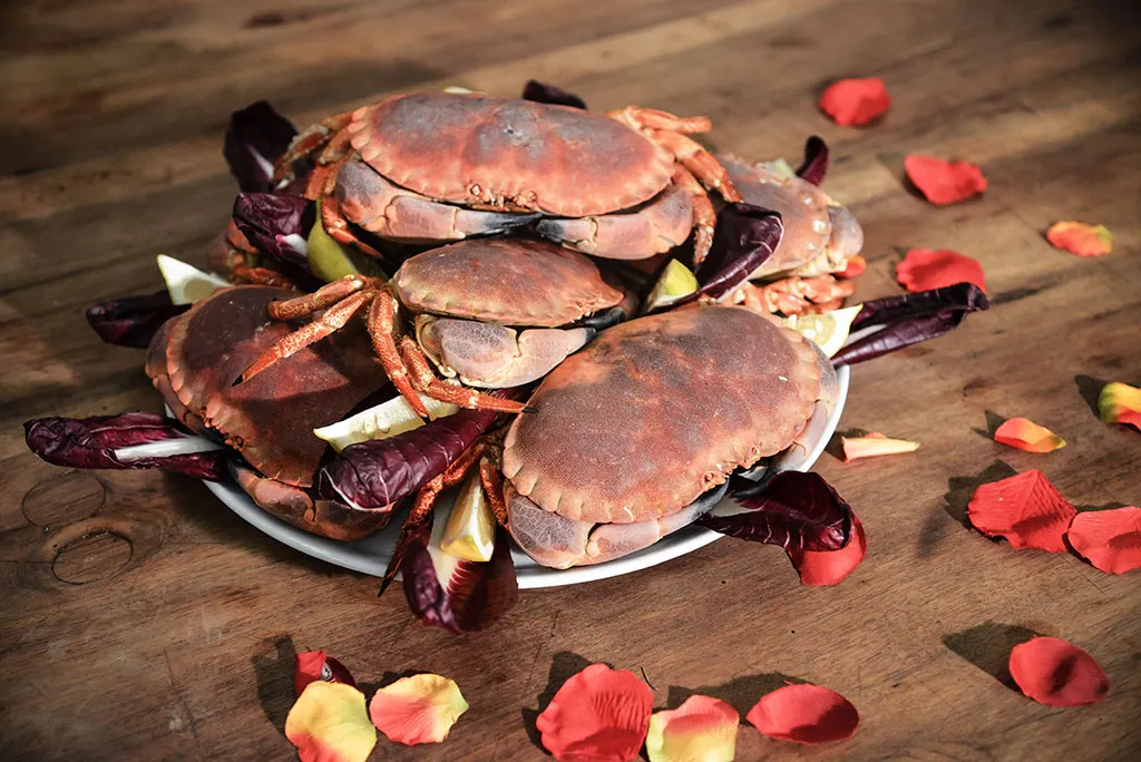 Ristorante Anna & Otello_Mira Taglio_slider_image_2