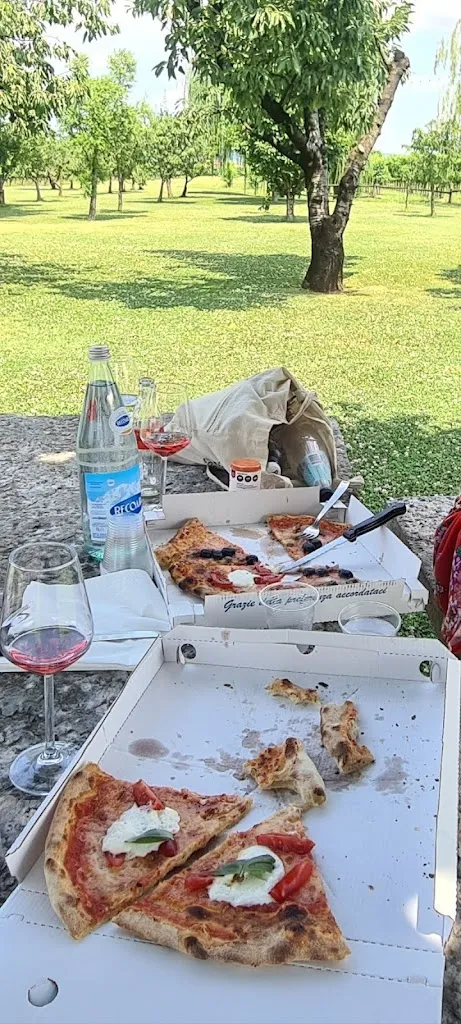 Henrik Håkansson_Blue Star_Montebello Vicentino_review