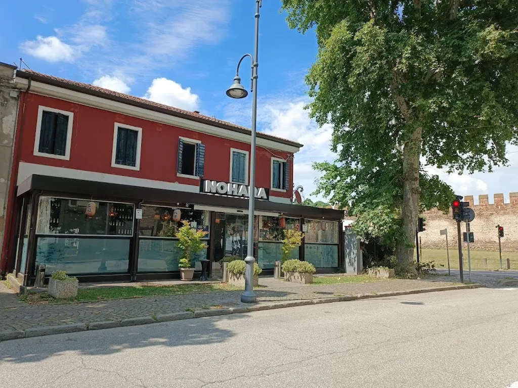 Fer Pinks_NOHARA-suYOshi_Montagnana_recensione