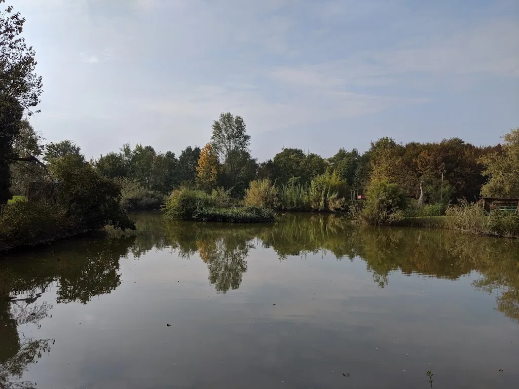 Fattoria didattica il Boschetto restaurant in Montagnana
