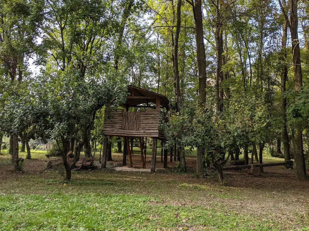 Fattoria didattica il Boschetto_Montagnana_slider_image_3