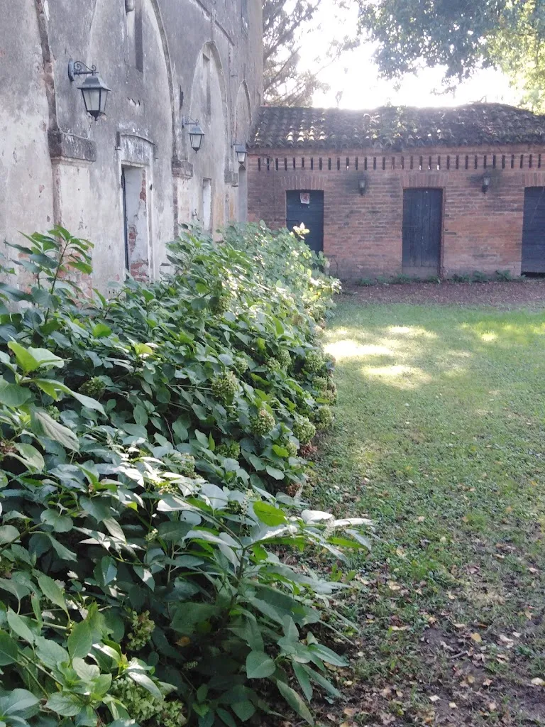 Santo Trevisanello_Ristorante I Gelsi Di Paracciani Antonella_Montagnana_review