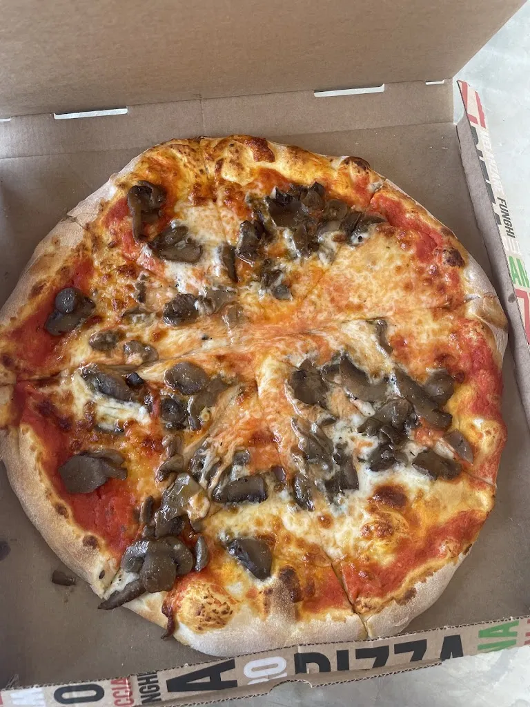 Shardey Olynyk_Bar Pizzeria San Marco di Petriti Sadush - MOGLIANO VENETO_Mogliano Veneto_review