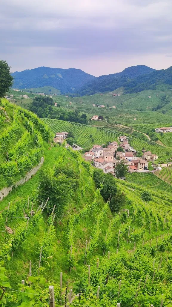 Sonia Toulliou_Elis' House_Moriago della Battaglia_review