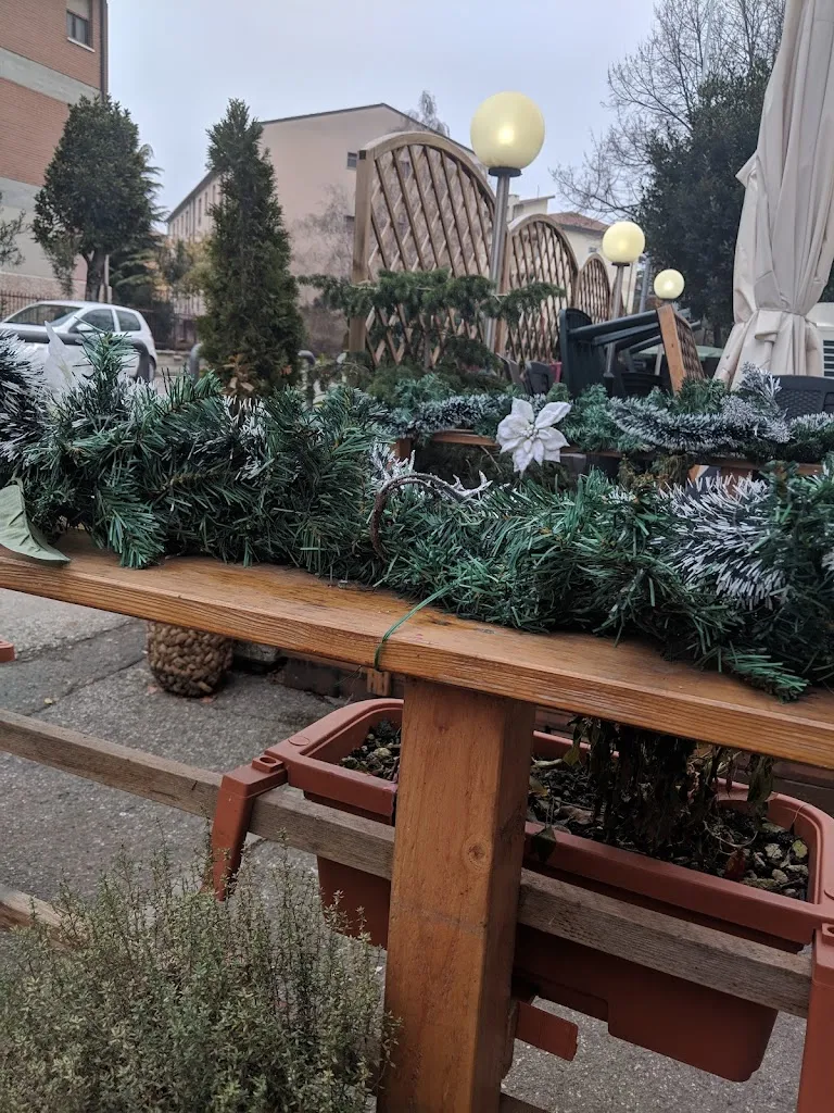 Tidy Eagle_MAGNUM PIZZA E CUCINA_Montorio_review