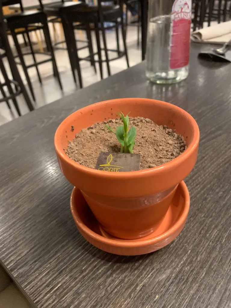 Menu_Agriturismo Corte Scaligera_Mozzecane_image_7