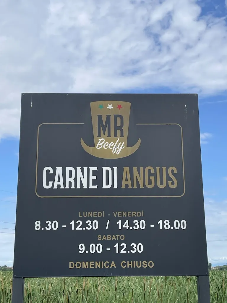 Italy Unfiltered_Mr Beefy - Az. Agr. Massella Placido_Mozzecane_recensione